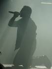 Photo by Steve Trapani